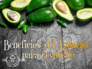 caracteristicas del aguacate en el cabello